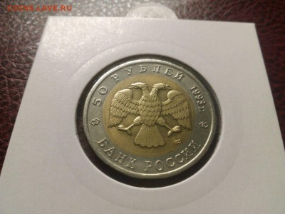 Кавказский тетерев до 22.00 08.07.15   БЛИЦ - IMG-20150704-WA0010