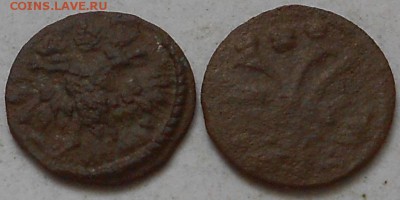 Полушки 1719г. , надпись на арабском и славянском. - Изображение 2833