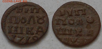 Полушки 1719г. , надпись на арабском и славянском. - Изображение 2832