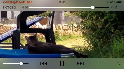 делает - прямо сейчас !!! - image