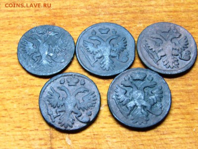 5 монет номиналом денга 1731-1737 - IMG_0180.JPG