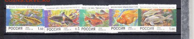 марки РФ 1998 рыбки - 9