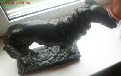 собачка касли, верный друг - P1040698.JPG