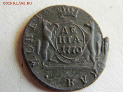 Денга  сибирская 1770 км до9.07.2015. - DSCN1978.JPG