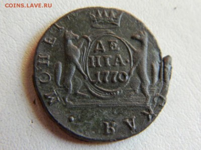 Денга  сибирская 1770 км до9.07.2015. - DSCN1979.JPG