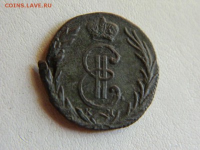 Денга  сибирская 1770 км до9.07.2015. - DSCN1982.JPG