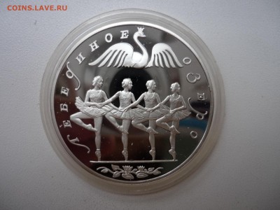 3р Лебединое озеро,   Голландский аукцион, до 11.07 22-00 - P1090485.JPG