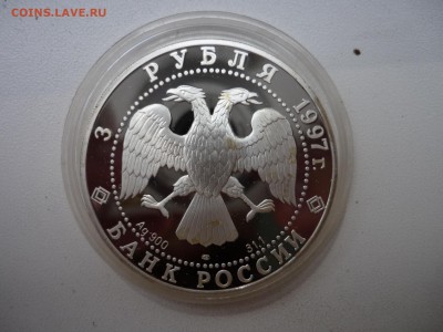 3р Лебединое озеро,   Голландский аукцион, до 11.07 22-00 - P1090486.JPG