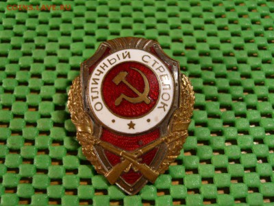 отличный стрелок - S1032636.JPG