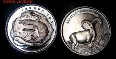 1 лира Турции 2015г Варан и Дикий Баран UNC - 300р - IMG_20150711_010352512