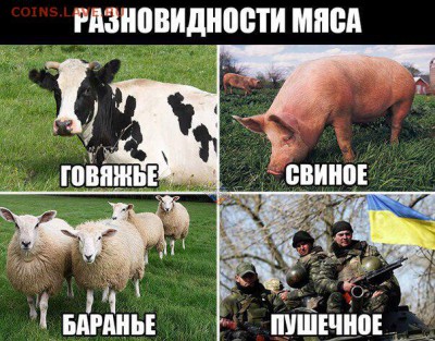 События на Украине. - мясо