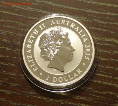 АВСТРАЛИЯ - КУКАБАРРА 2015 унцовка до 17.07, 22.00 - Австралия кукабарра-1