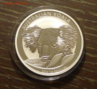 АВСТРАЛИЯ - КОАЛА унцовка до 17.07, 22.00 - Австралия коала