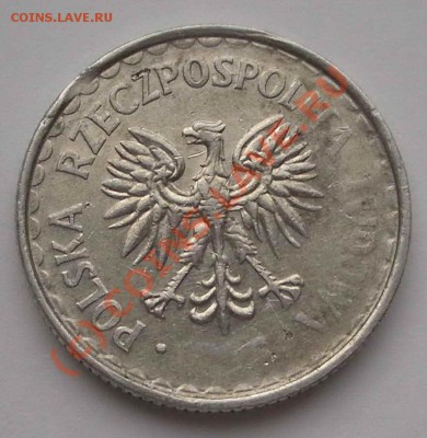 1 польский злотый без года (окон. 29.07.2010 в 22-00 по МСК) - IMGP6720+