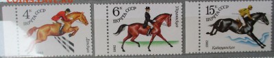 СССР 1982. Коневодство в СССР*** - 1982-102.JPG