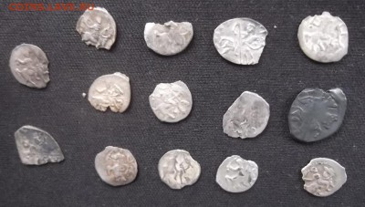 14 чешуек Ивана Грозного (поврежденные) - DSCF2434.JPG