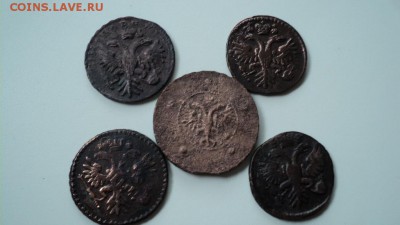 Пять копеек 1727 и 4 монетки денга 1731 гг - DSC07573.JPG