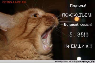 делает - прямо сейчас !!! - image