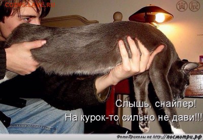 делает - прямо сейчас !!! - image
