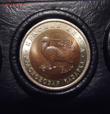 10р Кр. кн. 1992 (3шт, UNC из ориг.уп.) до 19.07.15 22-00мск - 13.JPG