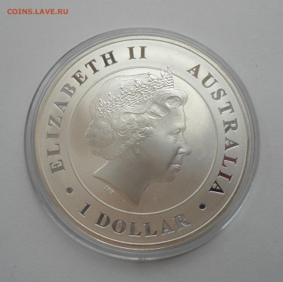 АВСТРАЛИЯ 1$ 2014 КРОКОДИЛ ЛЮКС 15.07 22:00 - DSC00921.JPG