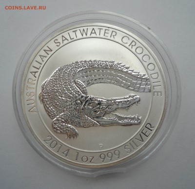 АВСТРАЛИЯ 1$ 2014 КРОКОДИЛ ЛЮКС 15.07 22:00 - DSC00919.JPG