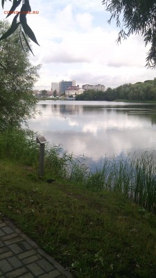 ФОТО - просто фото. Те что получились удачными. - IMG_20150715_091157[1]