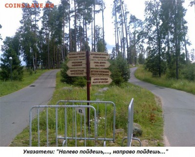 ФОТО - просто фото. Те что получились удачными. - 77. Дёмино. Прогулка по базе. Указатели.