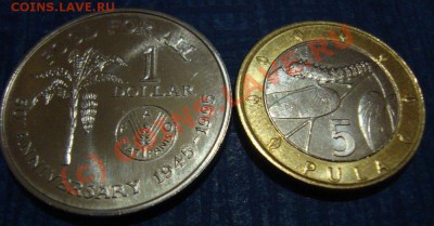 1$,,,5 PULA - DSC02167.JPG
