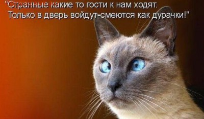 делает - прямо сейчас !!! - image