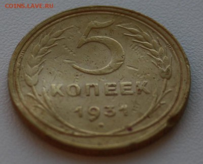 5 копеек 1931 - 5 копеек 1931 реверс