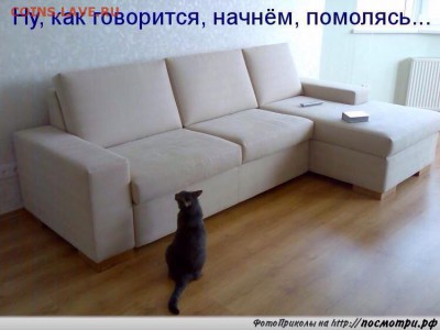 делает - прямо сейчас !!! - image