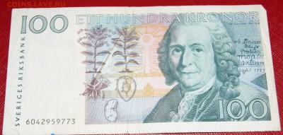 Швеция 100 крон. Ходячка? - DSC04060.JPG