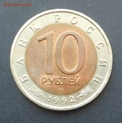 КК - 10 р. Краснозобая казарка  - до 19.07.15 г. - DSCN4017.JPG