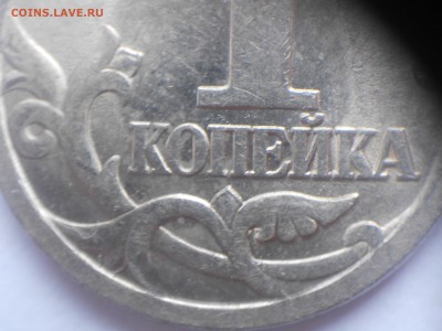Вопросы по разновидам от Дамир_чиш - на опознание2 001.JPG