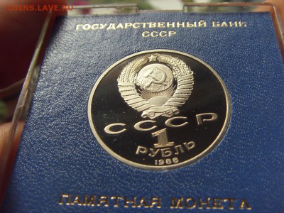 коробочке - SDC12619.JPG