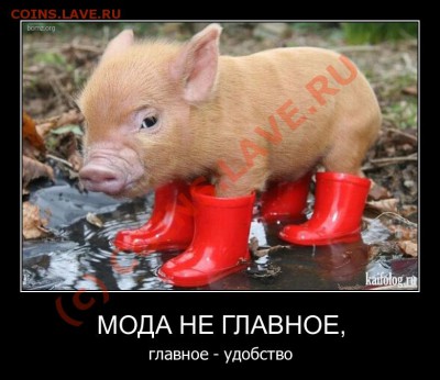 юмор - 88888
