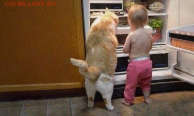 делает - прямо сейчас !!! - image