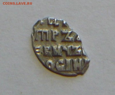 Чешуя Пётр I до 21.07.15г. в 21.00! - P1150324_cr
