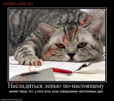 юмор - 4d87e9c7fb949b97de923085