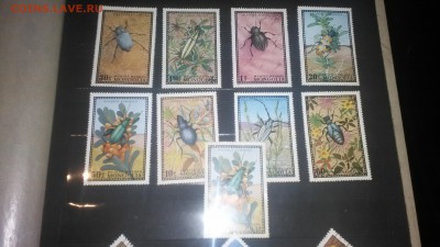 Разные марки - IMG_20150720_220613