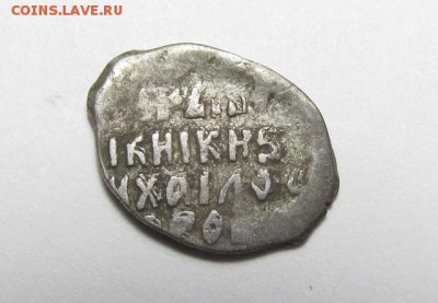 Чешуйки на определение. - IMG_0756.JPG