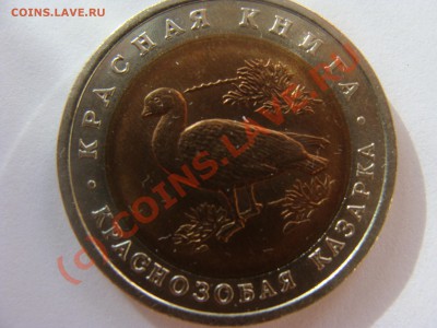 Красная книга, Казарка, 10р, 1992г 30.07.2010 22-00 - DSC04074.JPG