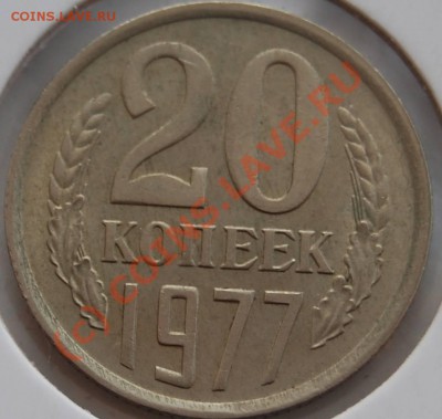 20к-1977 №130(Ф), II-3 71 (Адр) (03.08.2010 22:00 МСК) - 20k-1977_R