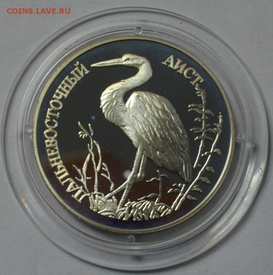1 рубль 1995 Дальневосточный аист до 24.07.2015 22.00.59 мск - DSC_0011.JPG