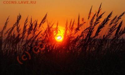 ФОТО - просто фото. Те что получились удачными. - закат