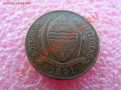 -Ботсвана- 5 тхебе 1991 -- 3 августа 21-00 - PICT0728.JPG