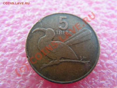 -Ботсвана- 5 тхебе 1991 -- 3 августа 21-00 - PICT0727.JPG