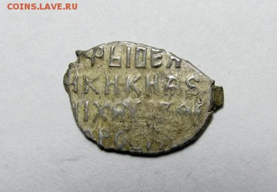 Пара чешуек на определение - IMG_0789.JPG
