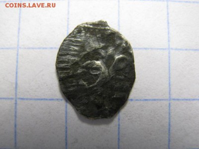 Полушка птичка, до 28.07.15 в 22.30 по Москве. - IMG_0129.JPG